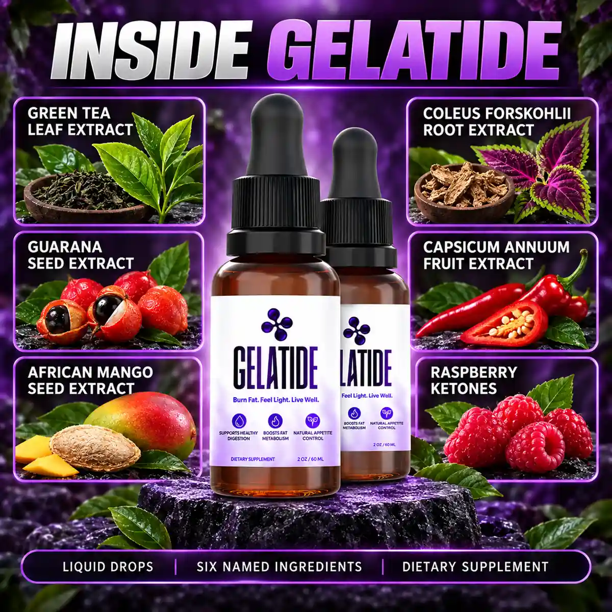 The seller's INSIDE GELATIDE artwork naming green tea leaf, guarana seed, African mango seed, Coleus forskohlii root, capsicum annuum fruit and raspberry ketones around two bottles